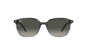 Ray-Ban Leonard RB2193-138171 - Grijs / Blauw