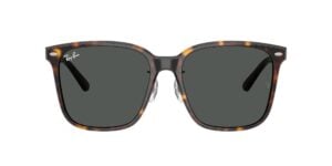 Ray-Ban 0RB2206D-710/87 - Havana