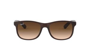 Ray-Ban Andy RB4202-607313 - Bruin