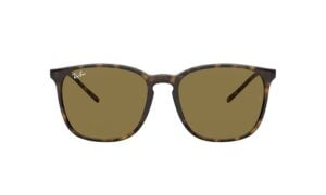 Ray-Ban 0RB4387-710/73 - Licht Havana