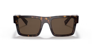 Prada 0PR 19WS 2AU8C1 - Havana